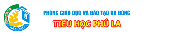 Trường Tiểu học công lập quận Hà Đông - Phú La (Ảnh: website nhà trường)